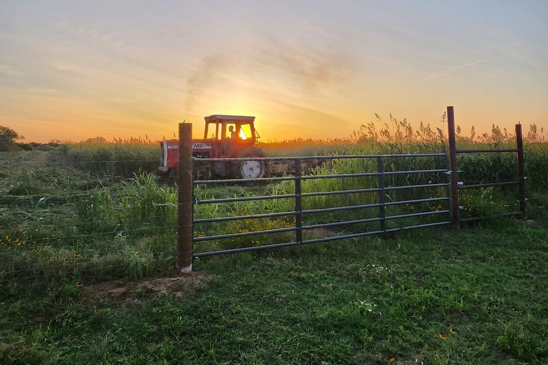 Massey Ferguson tractor cutting hay at sunset behind a Texas ranch gate — the kind of working operation Texas Made Shade builds stock trailer covers and tractor tops for